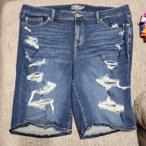 Distressed Denim Shorts